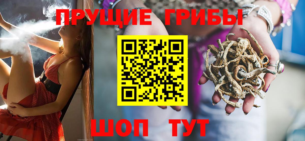 Александров  Галлюциногенные грибы мицелий  Галлюциногенные грибы ЛСД  Вход с VPN 
